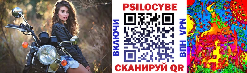 Псилоцибиновые грибы прущие грибы  Купить где  Бабаево 